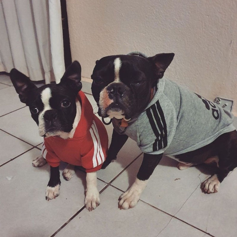 Pet Luxe Market™ Dog Sport Hoodies - Pet Luxe Market