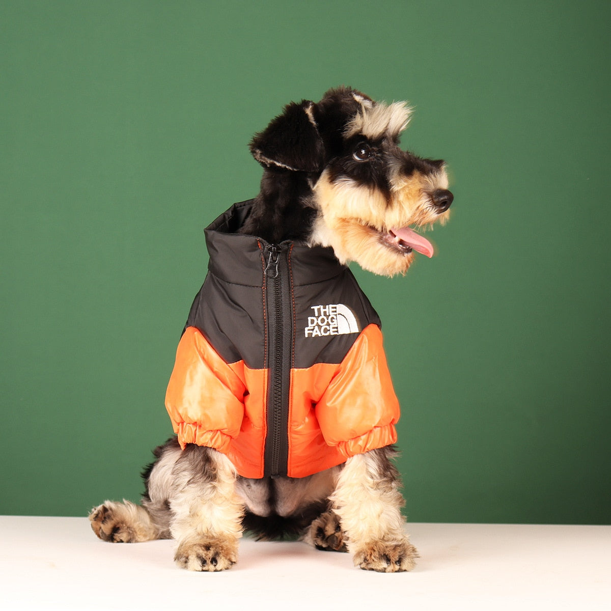 Pet Luxe Market™ Windproof Reflective Dog Jacket - Pet Luxe Market