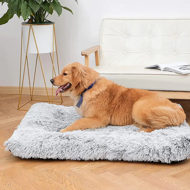 Pet Luxe Market™ Plush Washable Dog Bed - Pet Luxe Market