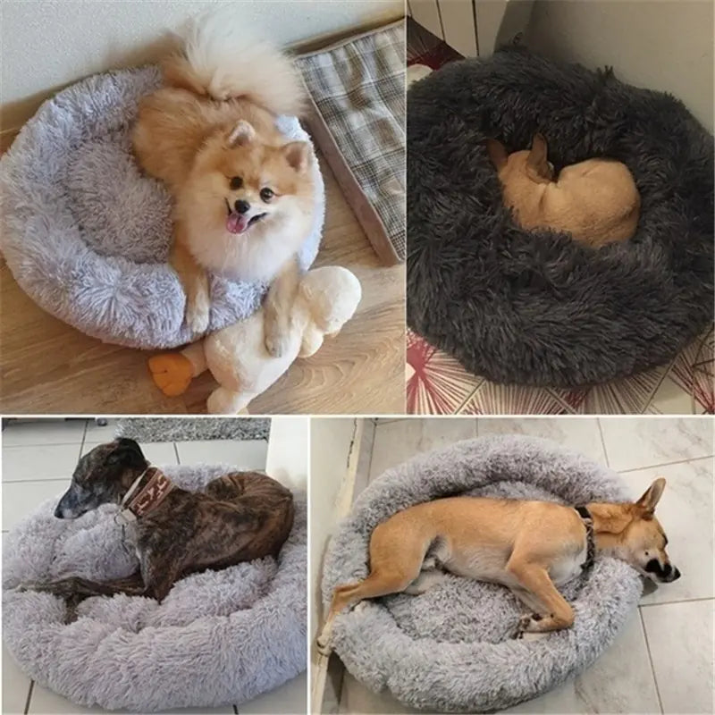 Pet Luxe Market™ Plush Bed for Large Breed Pets - Pet Luxe Market