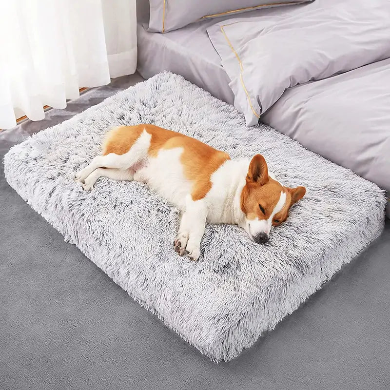 Pet Luxe Market™ Plush Washable Dog Bed - Pet Luxe Market