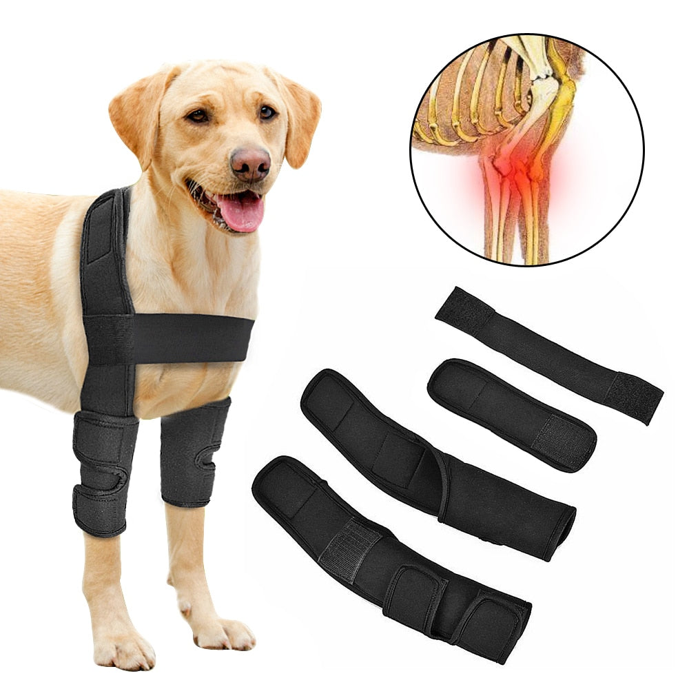 Pet Luxe Market™ Pet Leg Support - Pet Luxe Market