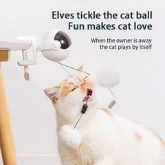 Automated Cat Toys - Pet Luxe Market