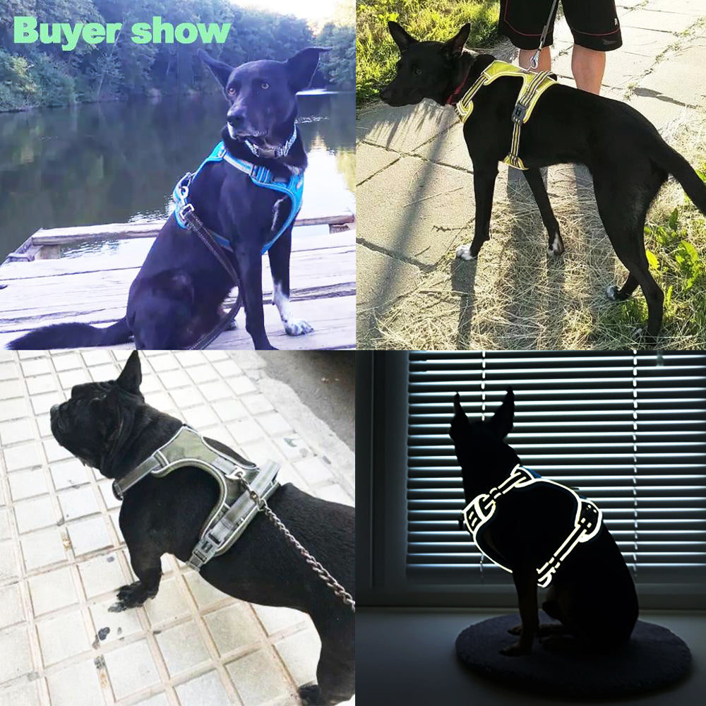 Pet Luxe Market™ Dog Harness - Pet Luxe Market