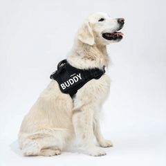 Pet Luxe Market™ Anti-Choke Dog Harness - Pet Luxe Market