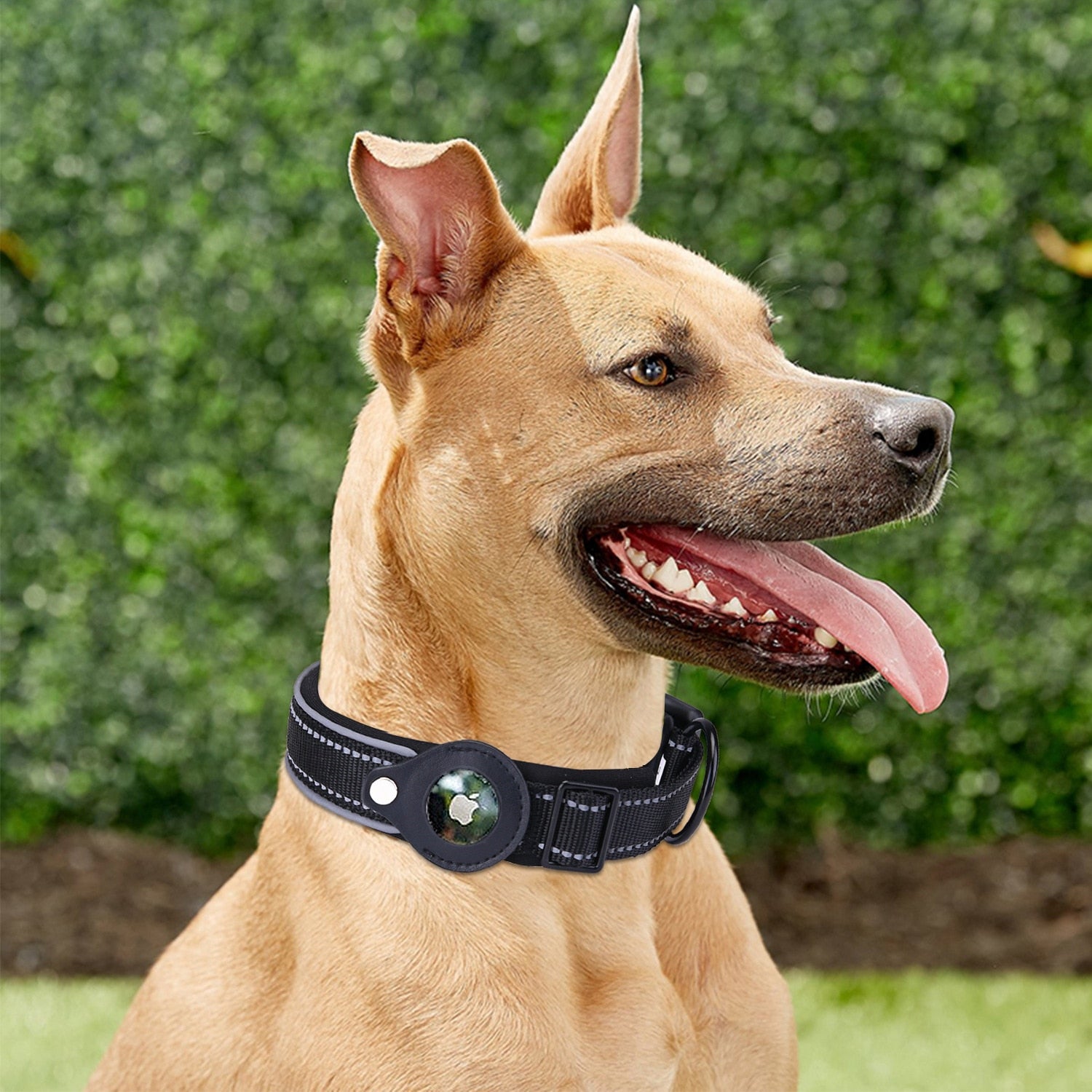 Pet Luxe Market™ Airtag Dog Collar - Pet Luxe Market