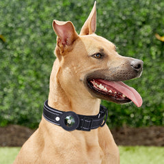 Pet Luxe Market™ Airtag Dog Collar - Pet Luxe Market