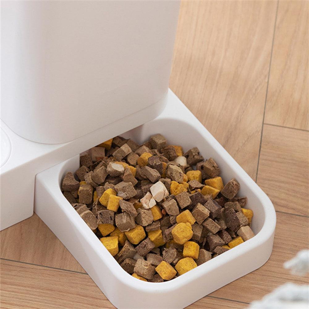 Cat Automatic Feeder - Pet Luxe Market