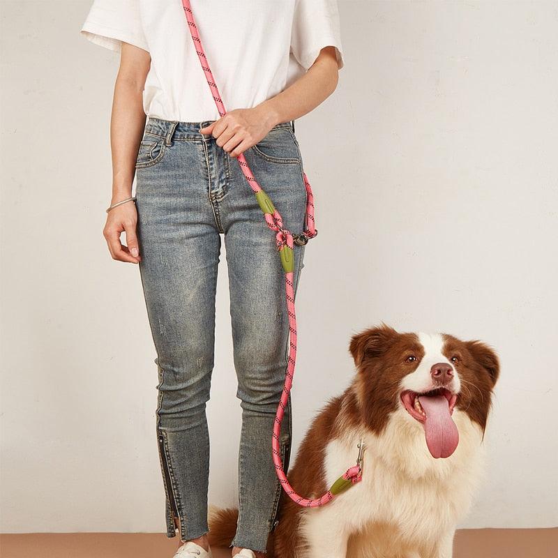 Pet Luxe Market™ Reflective Nylon Dog Leashes - Pet Luxe Market