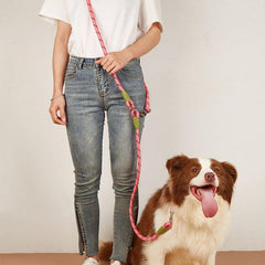 Pet Luxe Market™ Reflective Nylon Dog Leashes - Pet Luxe Market