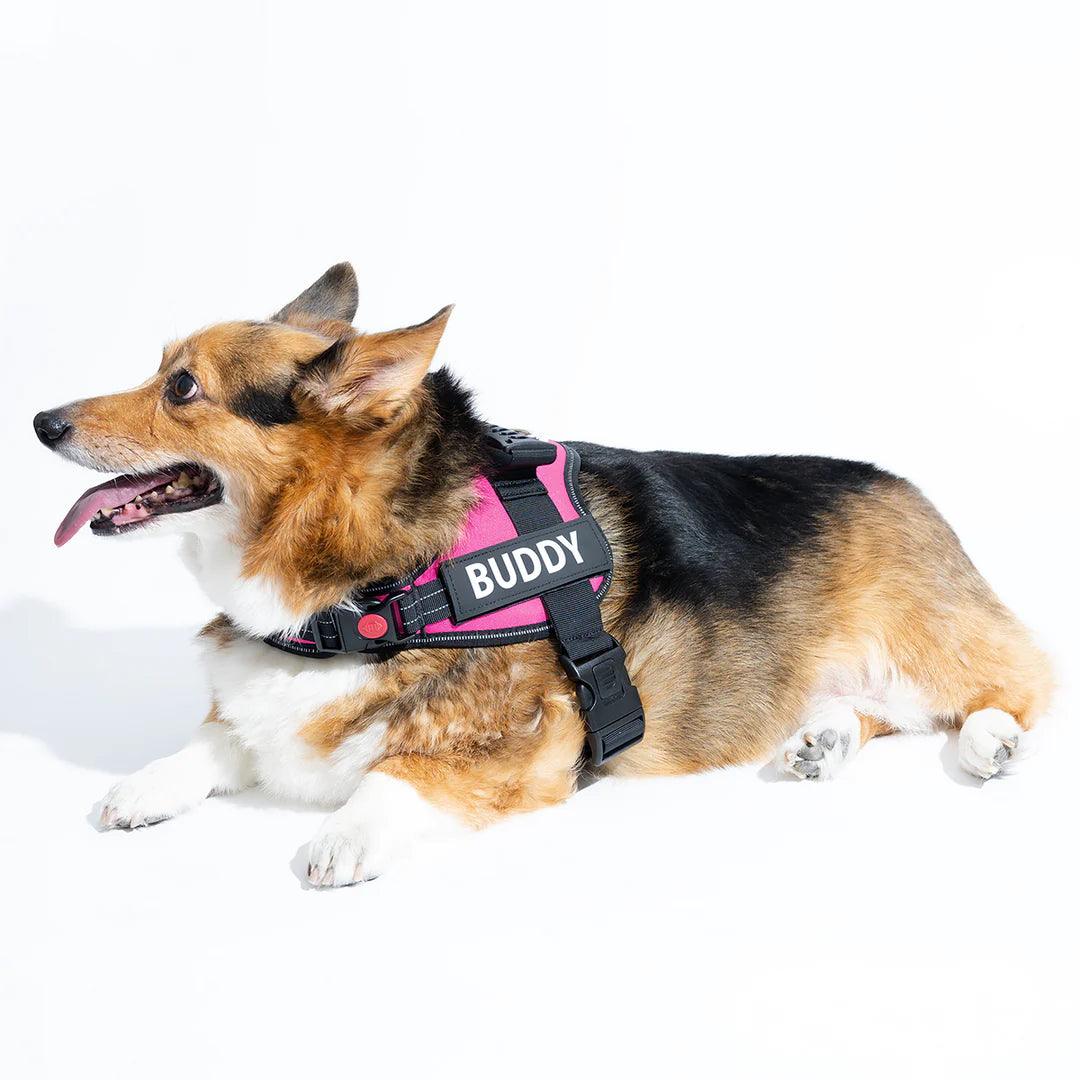 Pet Luxe Market™ Anti-Choke Dog Harness - Pet Luxe Market